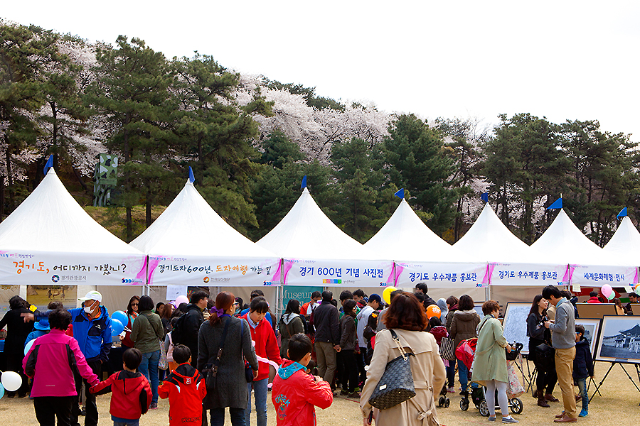 축제로 경기 옛 모습과 전통을 배우다! 2014 경기도청 벚꽃축제